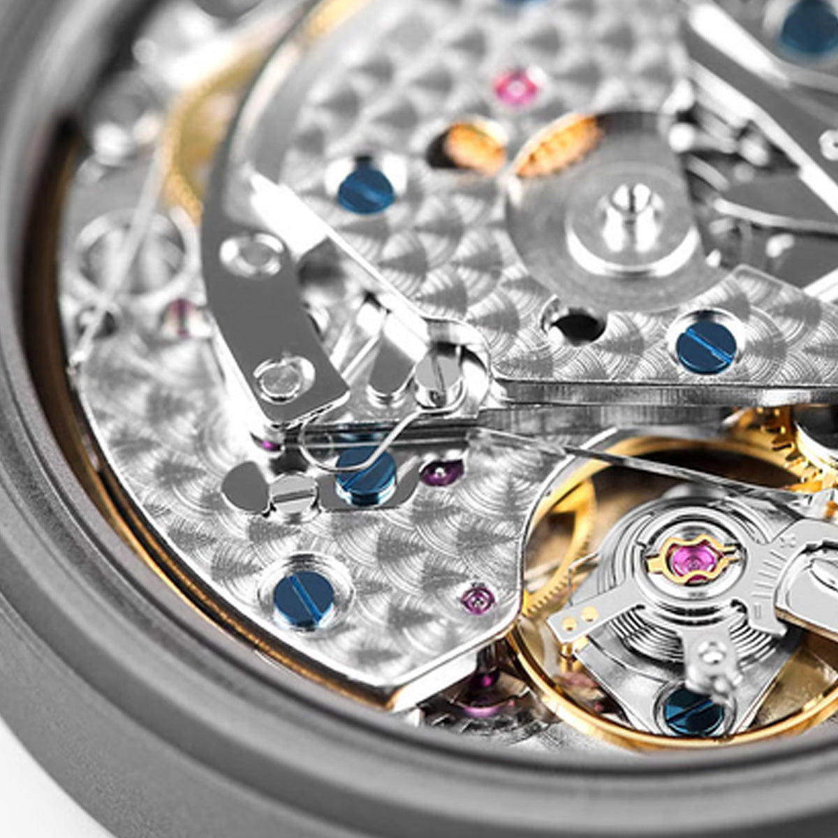 Boderry Landmaster Crhonograph Reverse Panda Dial (Early Bird)