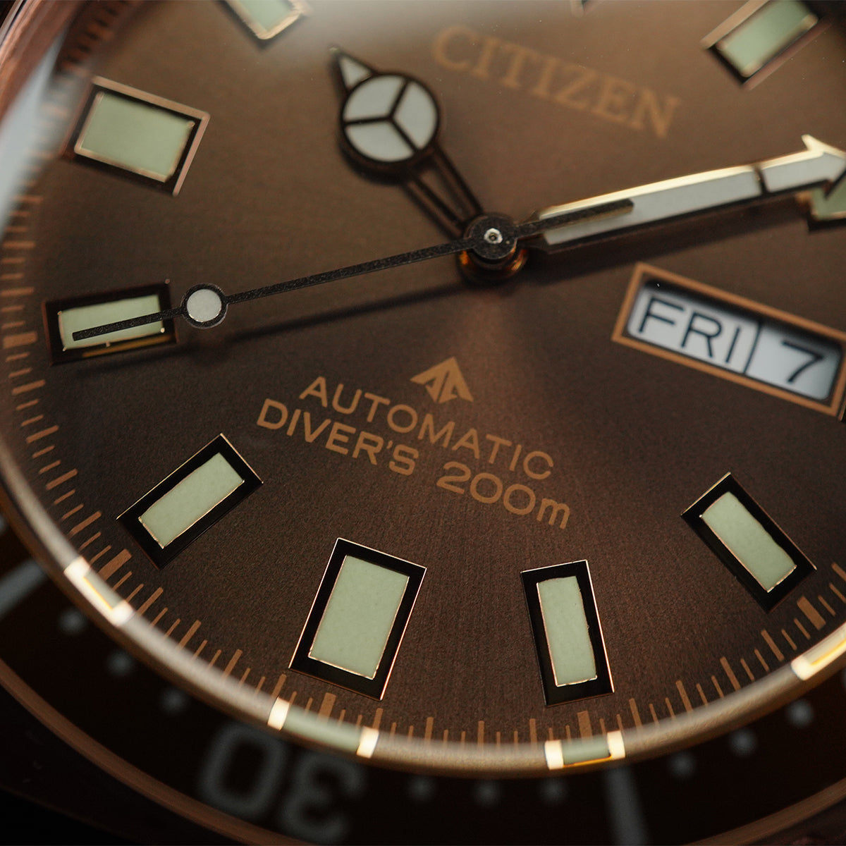 Citizen Promaster NY0125-08W Light Brown Dial