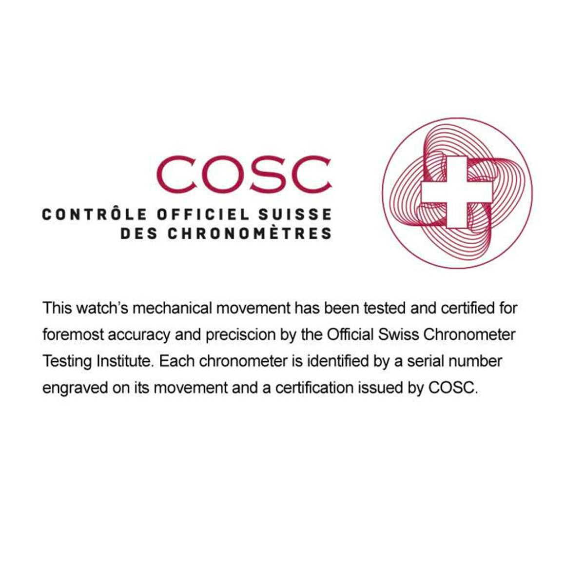 Formex Reef 39,5mm White Dial Steel Bezel COSC - Horology Story Youtube Store