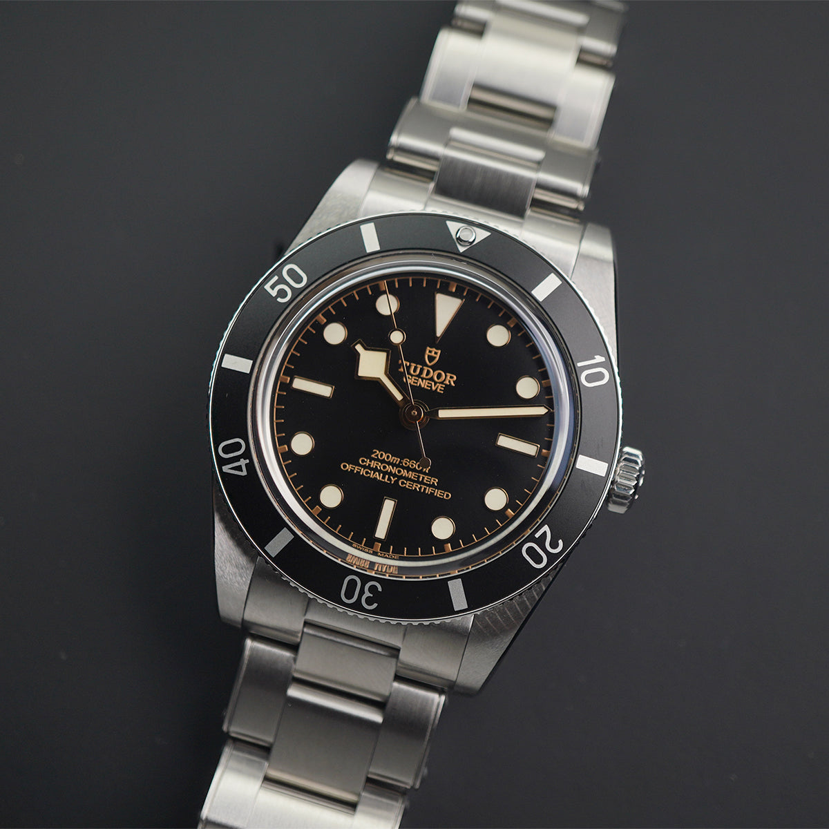 Tudor Black Bay M79000N-0001 Black Dial
