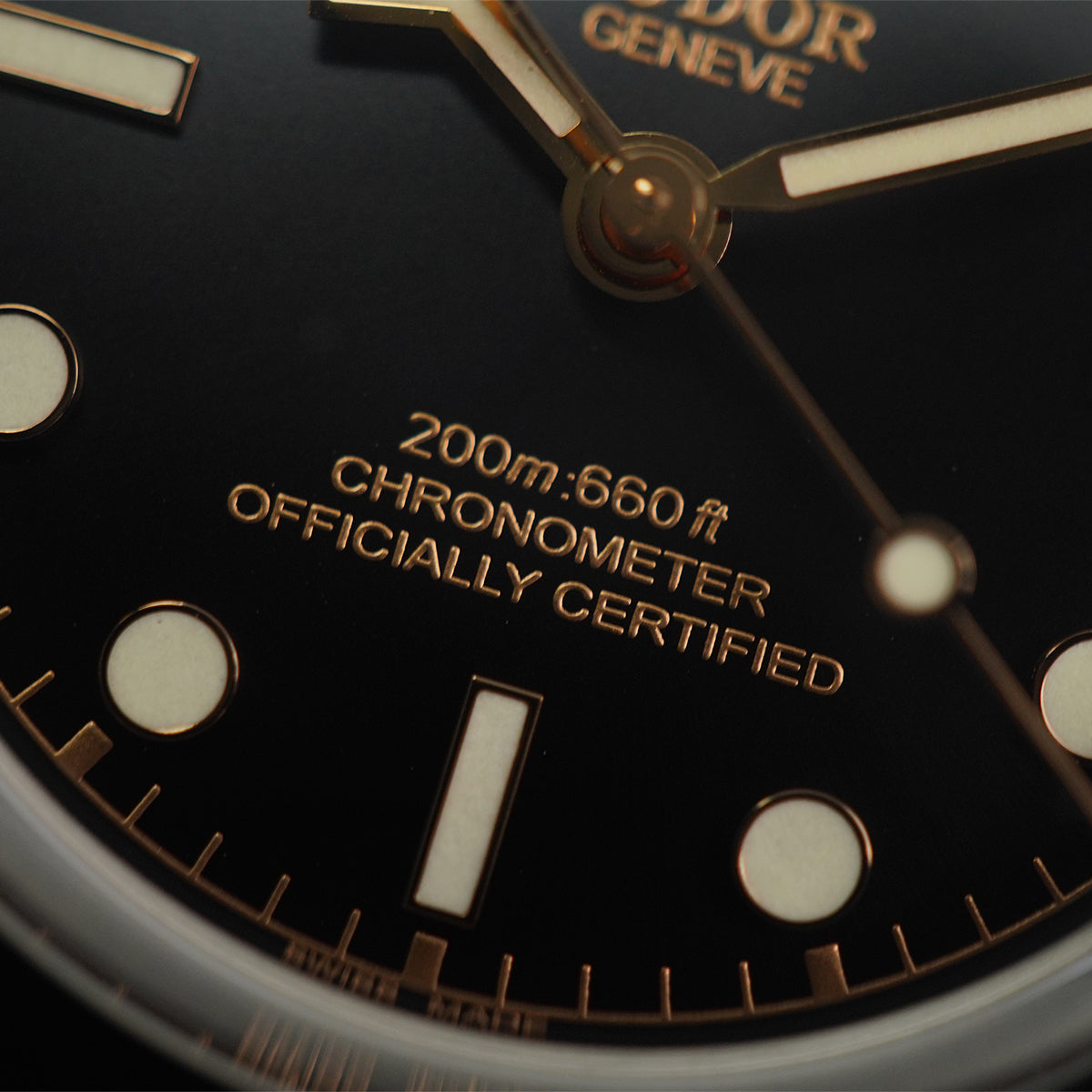 Tudor Black Bay M79000N-0001 Black Dial