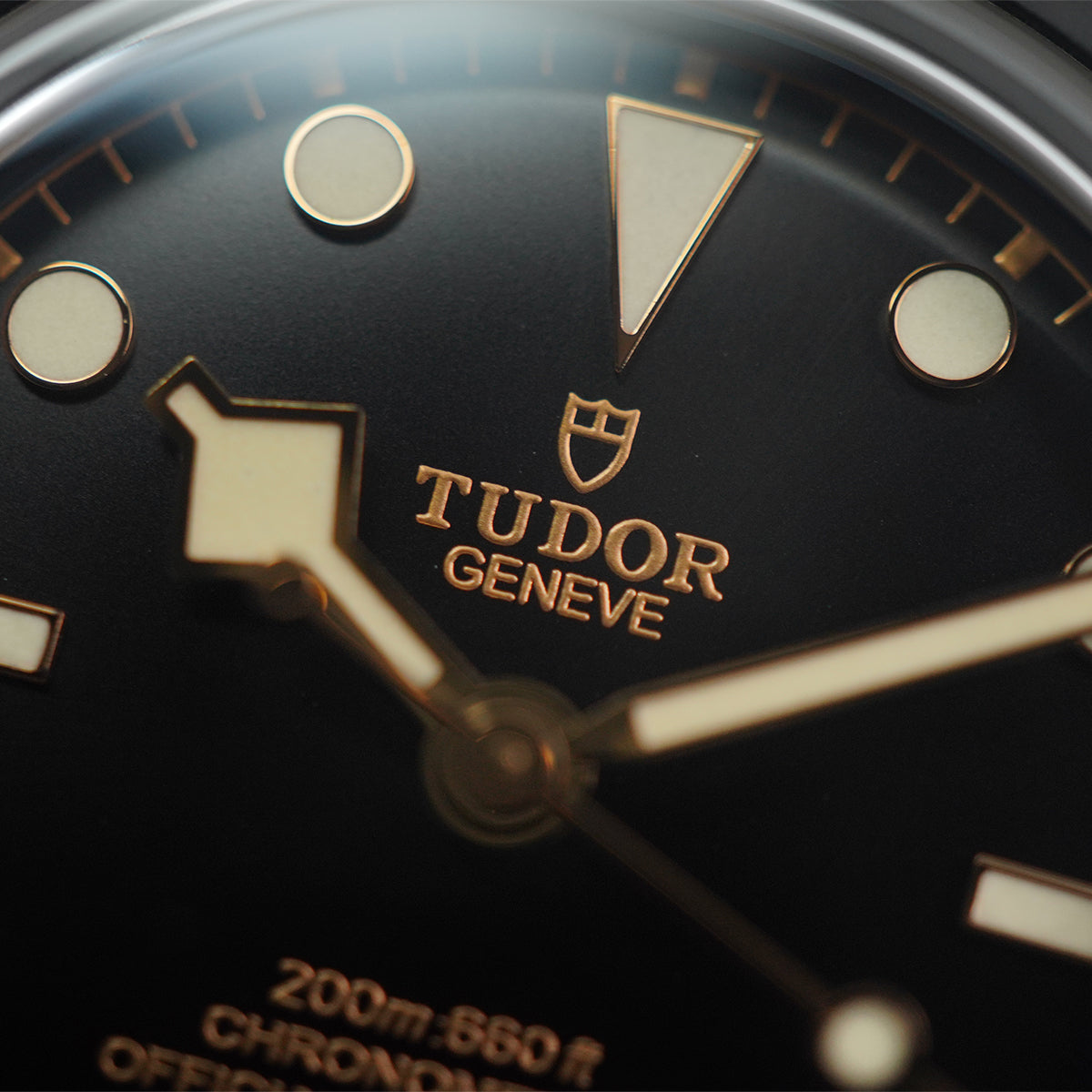 Tudor Black Bay M79000N-0001 Black Dial