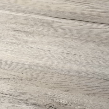 Spinnaker Croft Skeleton Seastar Sundial SpongeBob SquarePants